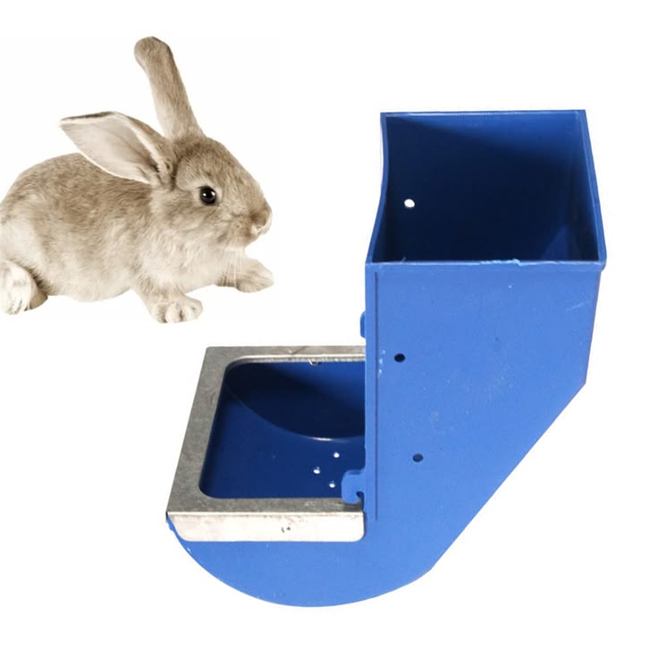 blue rabbit feed box hopper rabbit cage hanging feed trough hamster bunny guinea pig eating drinking copie blue rabbit feed box hopper rabbit cage hanging feed trough hamster bunny guinea pig eating drinking copie