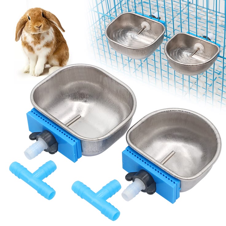 bol d'eau pour lapin en acier inoxydable, abreuvoir automatique pour lapin de ferme, cage pour bol d'eau pour lapin en acier inoxydable, abreuvoir automatique pour lapin de ferme, cage pour