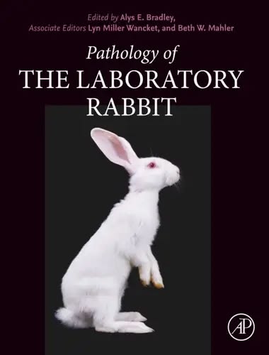 Introduction à l'élevage de lapins